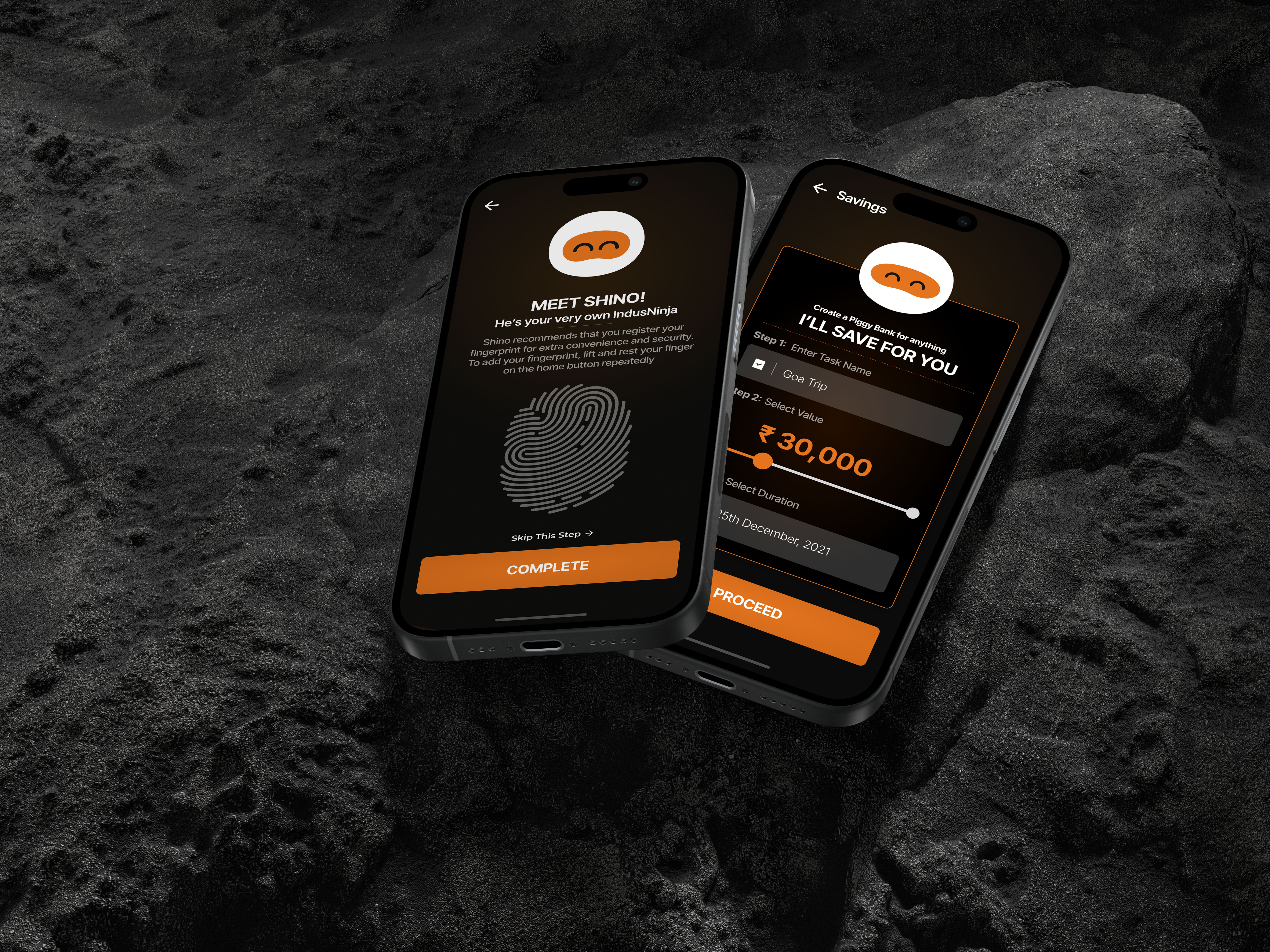 IndusNinja – Your AI-Powered Financial Ninja